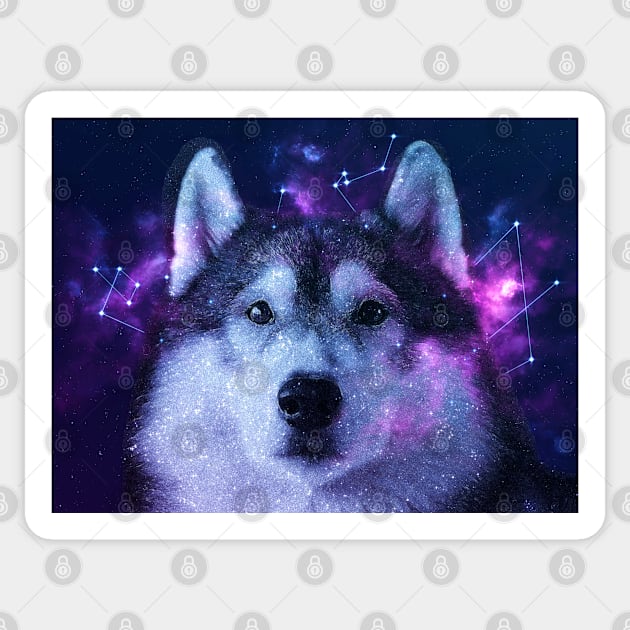 Galaxy Siberian Husky Sticker by LemoBoy